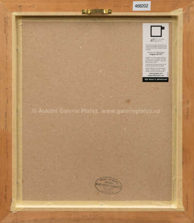  / Hrdina léky hledající / Zdeněk Burian