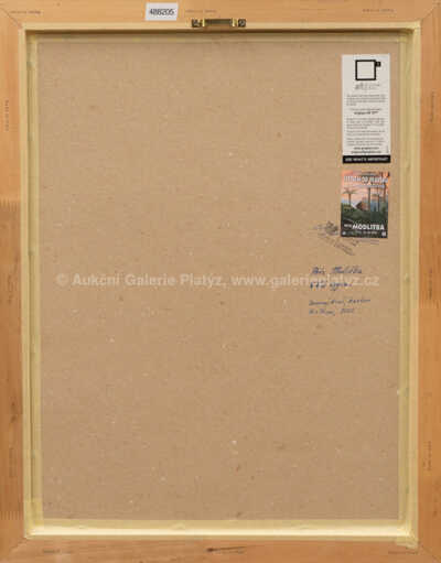  / V říši tygra / Petr Modlitba