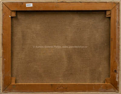  / Traja muži z Mičinej / Milan Laluha