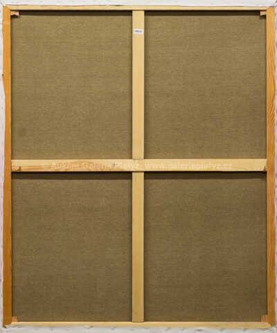  / Homer / Josef Rataj