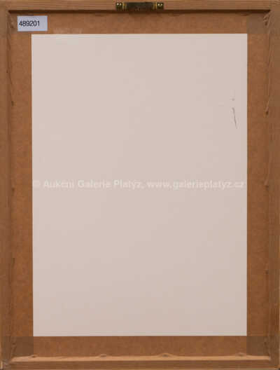  / Muž s kocourem / Adolf Born