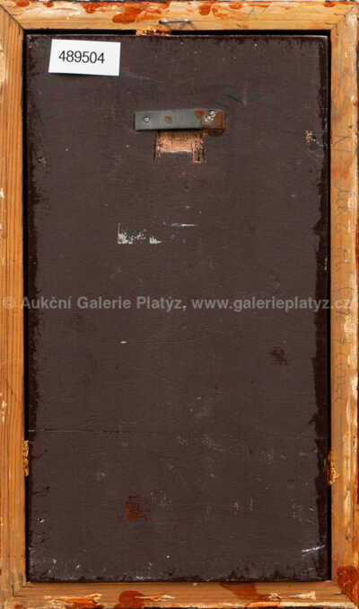  / Znamení vodnáře / Josef Jíra