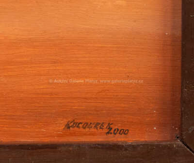  / Harley Davidson / Jindra Kocourek