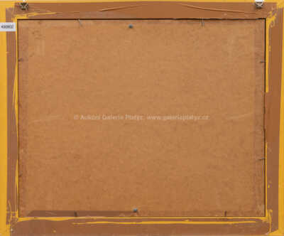  / Zátiší s ovocem / Jan Slavíček