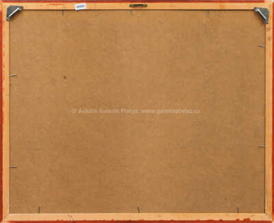  / Lago di Como / Jan Slavíček