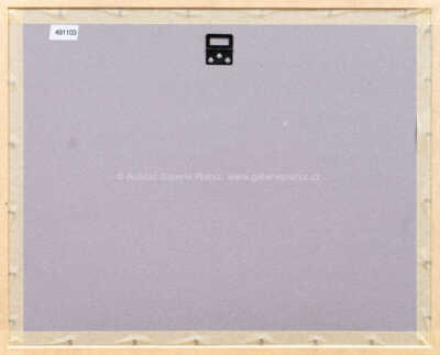  / Z cyklu Střelnice / Marie Čermínová - Toyen