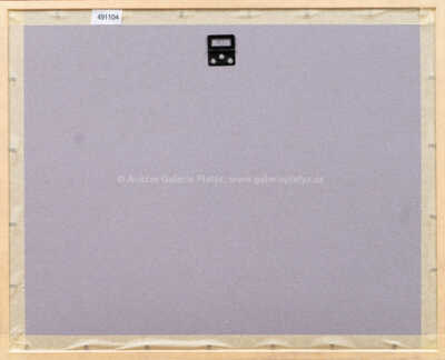  / Z cyklu Střelnice / Marie Čermínová - Toyen