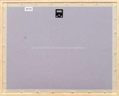  / Z cyklu Střelnice / Marie Čermínová - Toyen