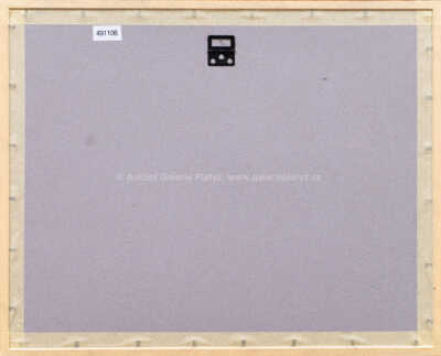  / Z cyklu Střelnice / Marie Čermínová - Toyen