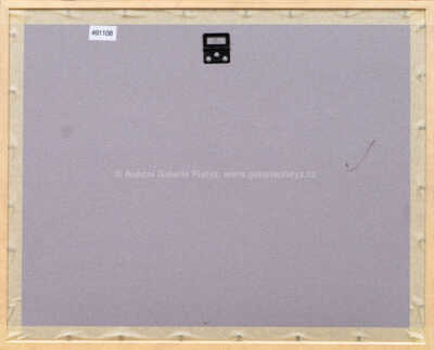  / Z cyklu Střelnice / Marie Čermínová - Toyen