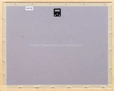  / Z cyklu Střelnice / Marie Čermínová - Toyen