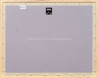  / Z cyklu Střelnice / Marie Čermínová - Toyen