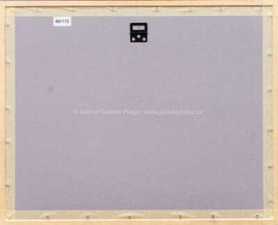  / Z cyklu Střelnice / Marie Čermínová - Toyen