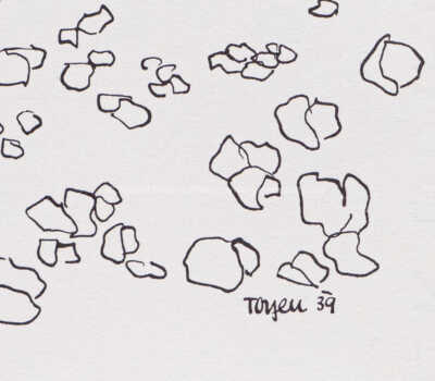  / Z cyklu Střelnice / Marie Čermínová - Toyen