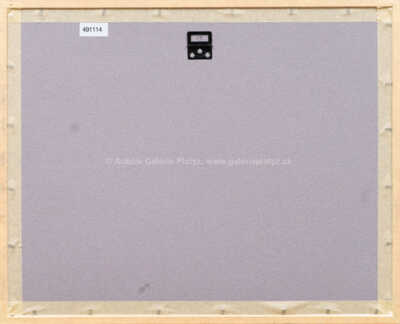  / Z cyklu Střelnice / Marie Čermínová - Toyen