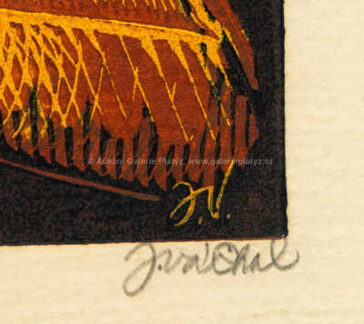  / Středověk, Z Postyly kacířské / Josef Váchal