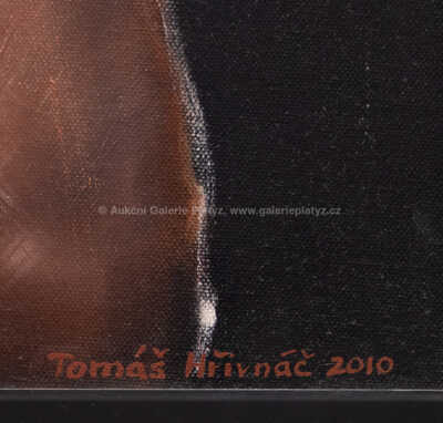  / Akt ženy / Tomáš Hřivnáč