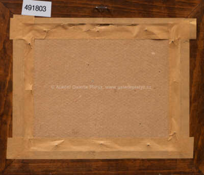  / Odhalení / Vlastimil Zábranský