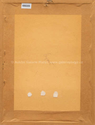  / Paní Zima / Iva Hüttnerová