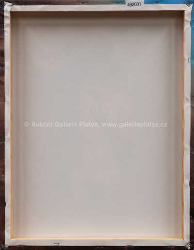  / Johana / Jan Saudek