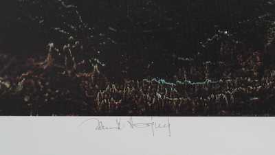  / Kříž / Zdeněk Hajný