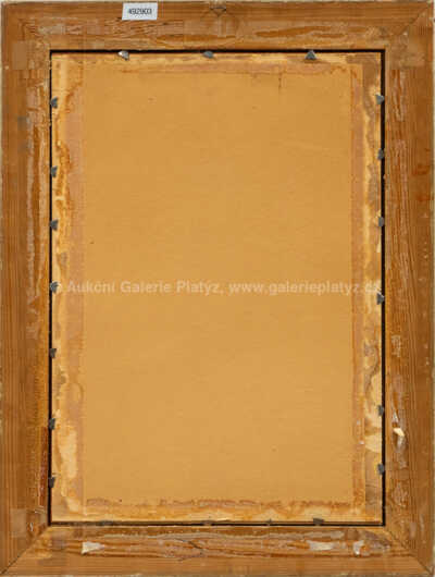  / Albánský rolník / Otakar Číla