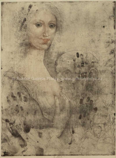  / Podle Bernarda Luini / Jiří Anderle