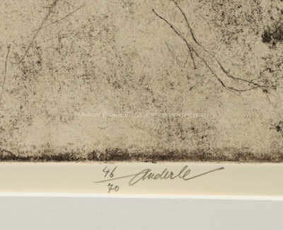 / Podle Bernarda Luini / Jiří Anderle