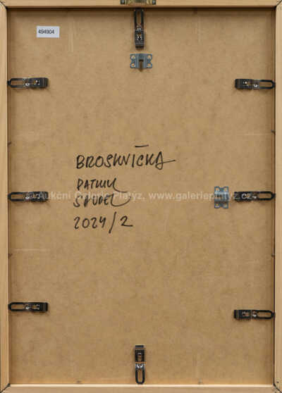  / Broskvička / Patrik Saudek