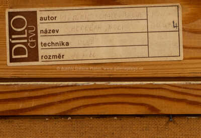  / Horečka noci / Viktorie Chaloupková