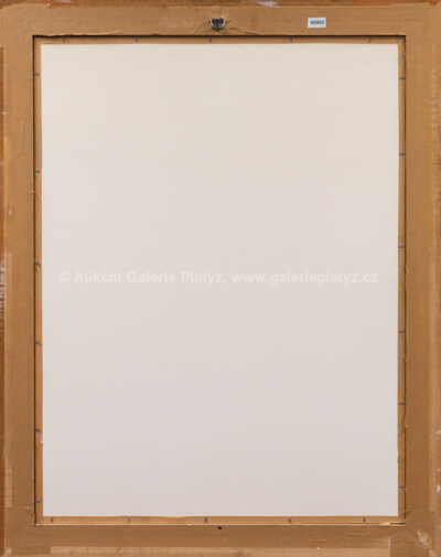  / Zrození Venuše / Salvador Dalí