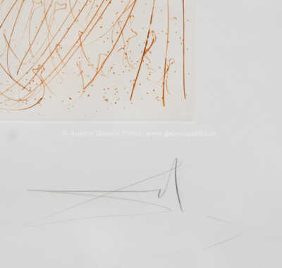  / Zrození Venuše / Salvador Dalí