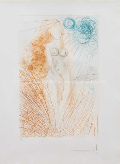  / Zrození Venuše / Salvador Dalí