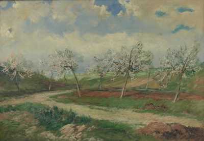  / Rozkvetlé stromy /   Autor neurčen