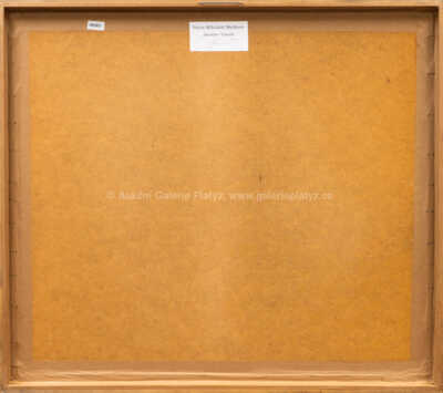  / Pocta Mikuláši Medkovi / Jaroslav Vlasák