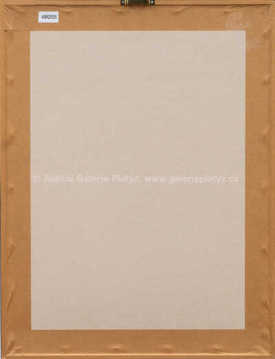  / Améba / Ladislav  Zívr