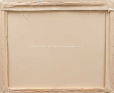  / Zastávka na občerstvení / Aleš Leznar