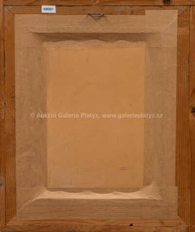  / Na poli / Otto Molitor