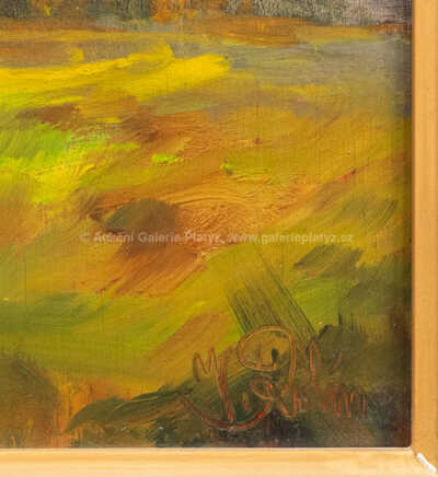  / Před bouřkou / Viktor  Rolín