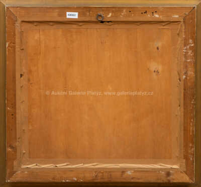  / Před bouřkou / Viktor  Rolín