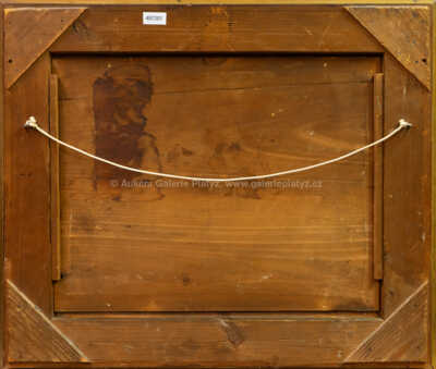  / Lekníny / Václav Jansa