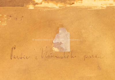  / Partie z vlašimského parku / Karel Rélink