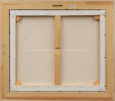  / Vesmír / František Ringo Čech