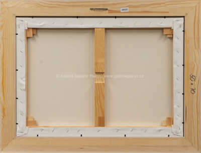  / Prezident vyznamenává Bratrstvo kočičí pracky / František Ringo Čech