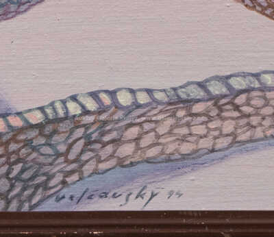  / Dům na ostrově Belle Ille / Josef Velčovský