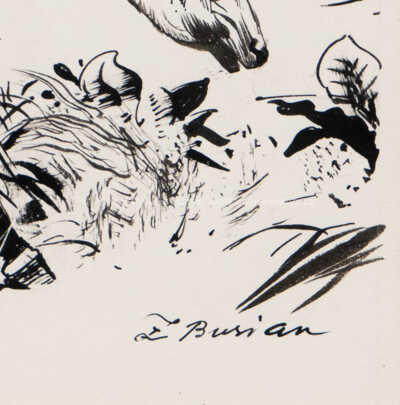  / Z pralesů Konga / Zdeněk Burian