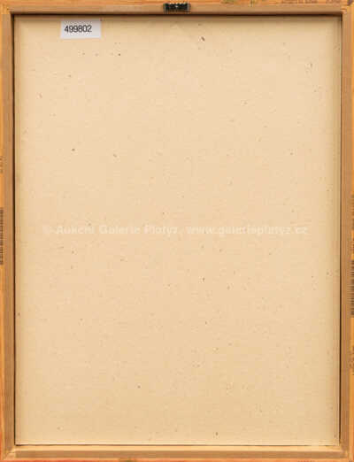  / Přízraky pouště / Marie Čermínová - Toyen