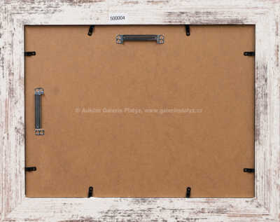  / Rákosníček / Zdeněk Smetana