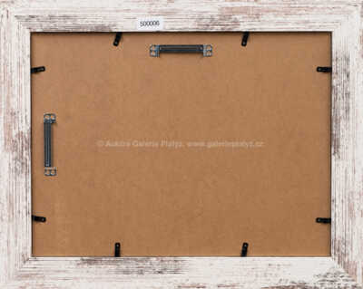  / Vodnář a Rákosníček / Zdeněk Smetana