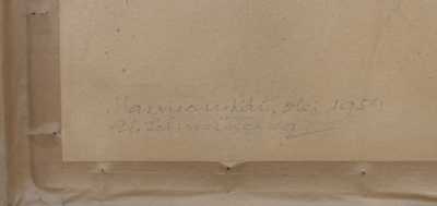  / Harmonikář / Alois Schneiderka